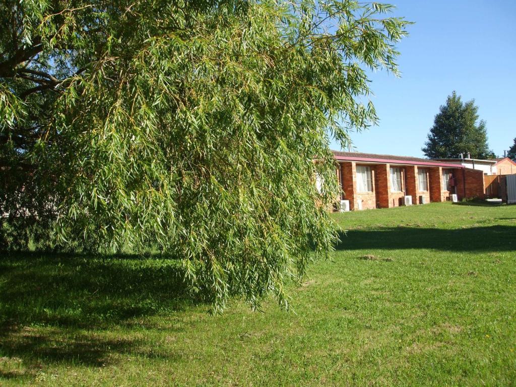 Anna Bella Motel Glen Innes Ngoại thất bức ảnh